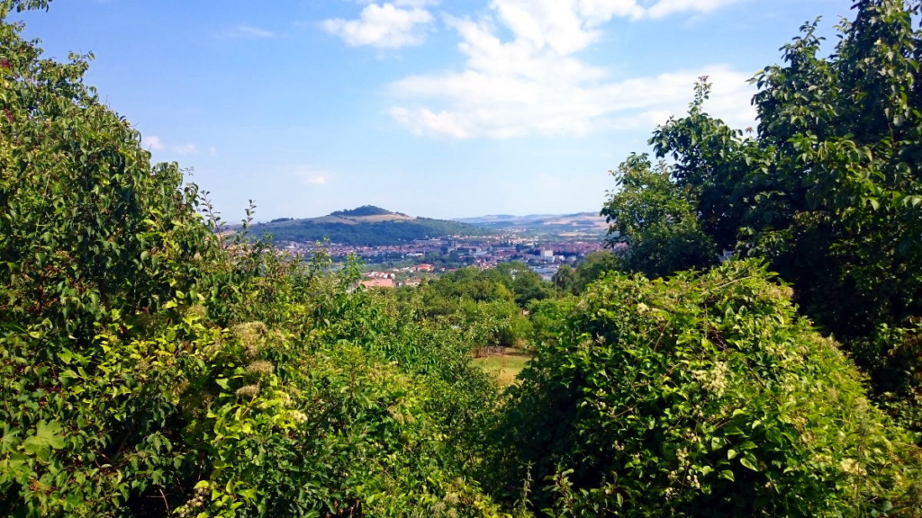 Jakobsweg Wald WanderVeg Domibility