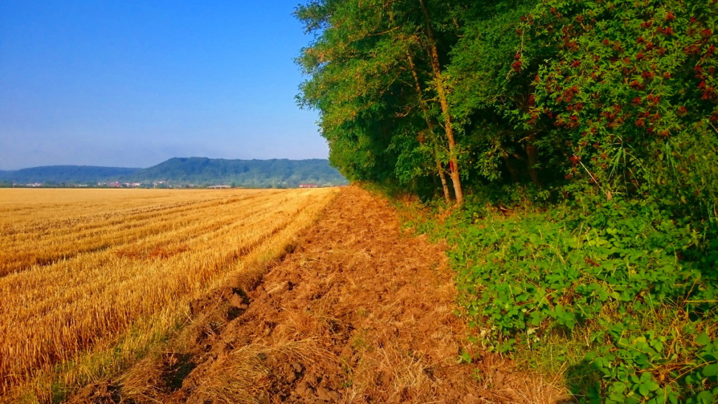Manchmal führt der Weg auch über frisch gepflügte Äcker und schlecht begehbare Wege. jakobsweg strecke frankreich tagebuch wanderveg domibility