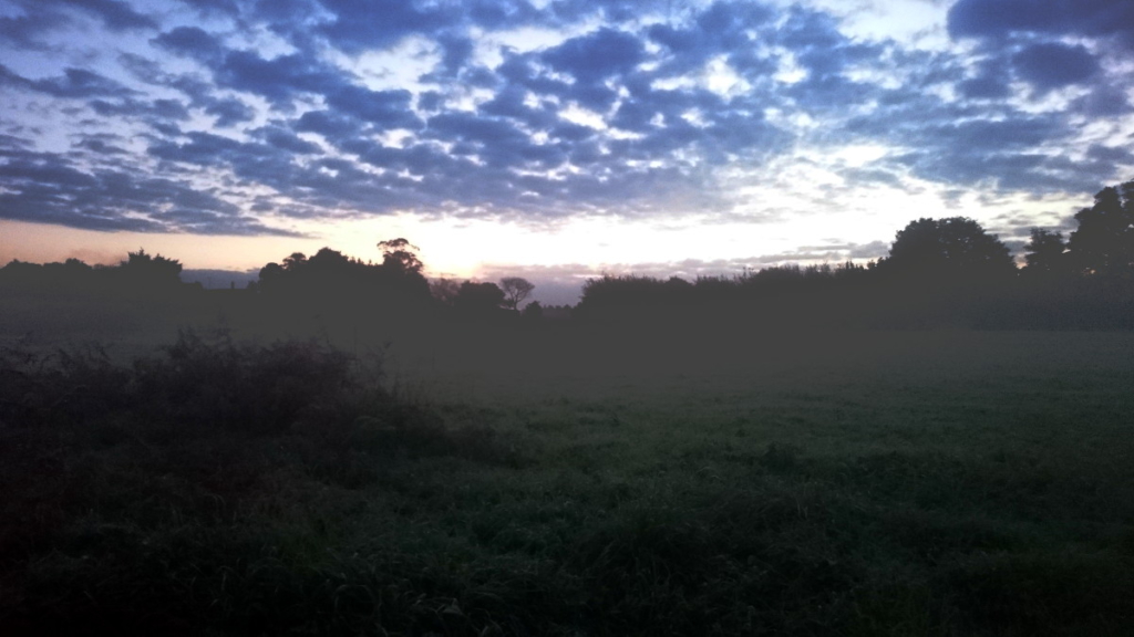 Jakobsweg-Tagebuch Woche 12 Wanderveg Nebel Sonne Camino del Norte